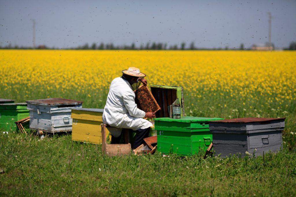 Пчеловод в поле.на лутших пасеках