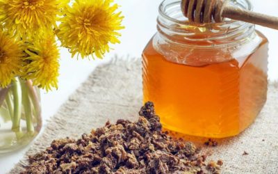 Продукты пчеловодства: узнайте, как использовать эти удивительные природные средства для здоровья и хорошего самочувствия!