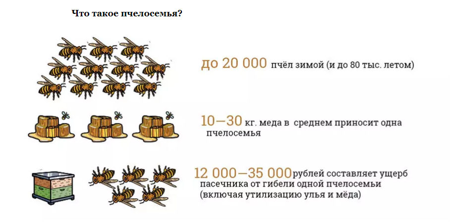 Картинка о семье пчёл