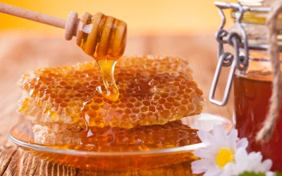Откройте сладкие секреты сбора меда: как извлечь максимум пользы из своего улья!».