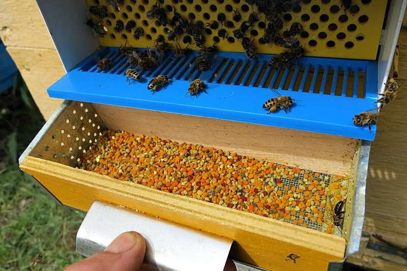 Стоимость Пчёл: Инвестиция в Золото Природы.