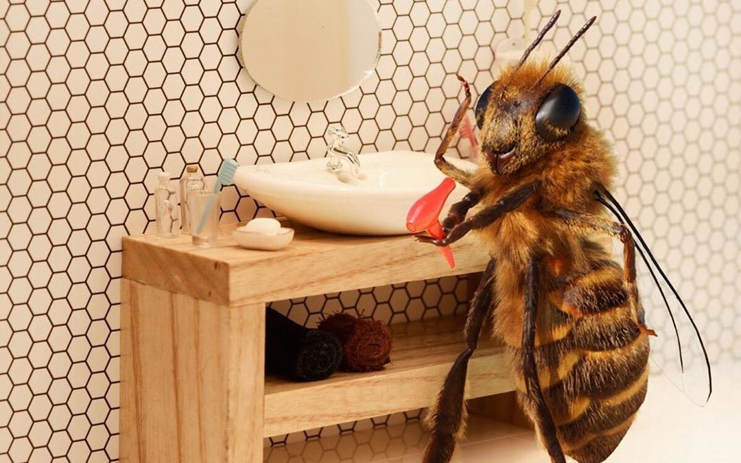 Путешествие в мир пчеловодства: Обработка пчел.